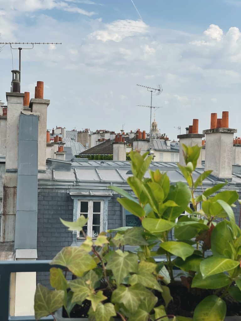 View on the heights of Paris : pretty blue roofs and brown cheminees with greenery - Hôtel des 2 Continents 